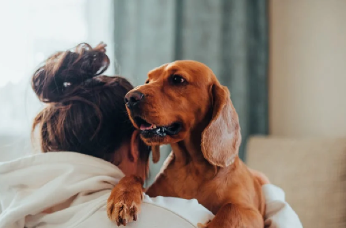 Hond in armen van vrouw